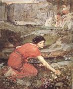 John William Waterhouse Study:Maiidens picking Flowers by a Stream (mk41) oil